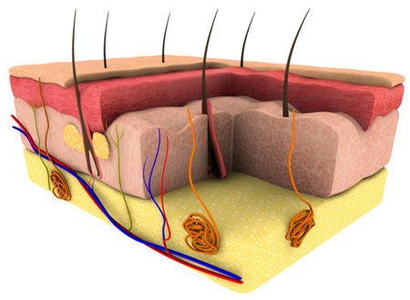 ��������� ��������